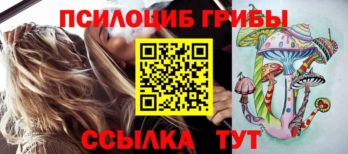 продажа наркотиков  Вход с VPN  Гусиноозёрск  Галлюциногенные грибы Magic Shrooms 