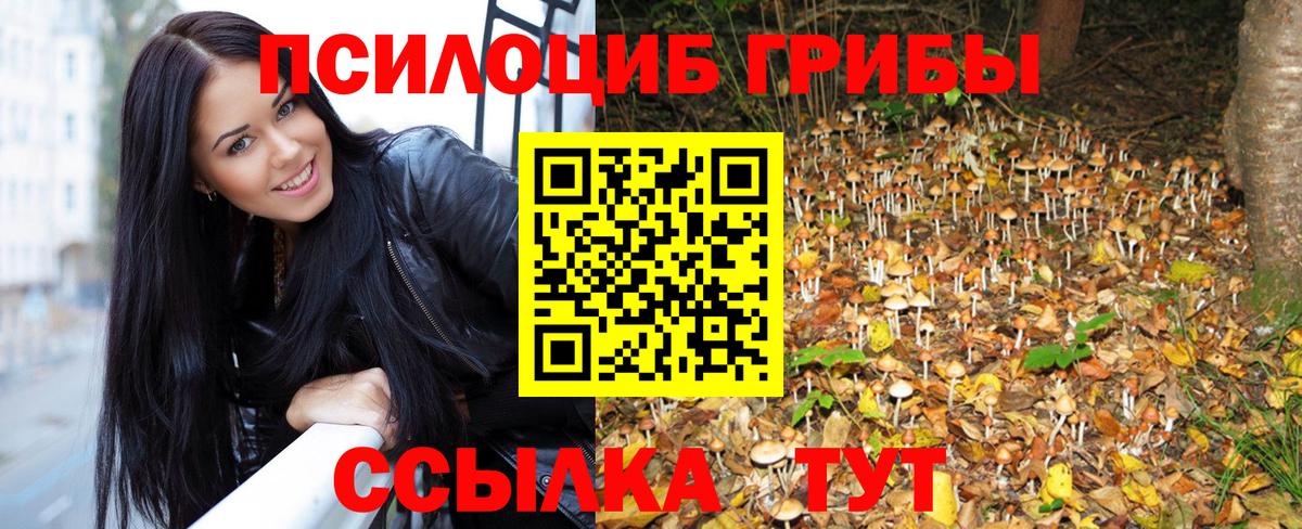 Псилоцибиновые грибы мухоморы Гусиноозёрск